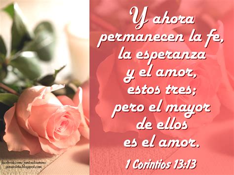 Palabra Viva Imagenes Con Textos Biblicos Textos Biblicos Frases