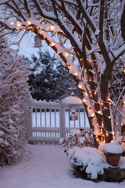 Modern Country Style: The Top Ten Christmas Gardens!