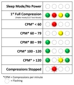 Adult CPR Manikin PP AM 100M MS Anatomical Parts Charts