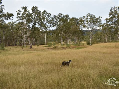 Lot 205 Netherby Road Gundiah Qld 4650 Au