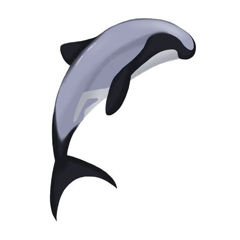 Māui Dolphin — OMGTech!