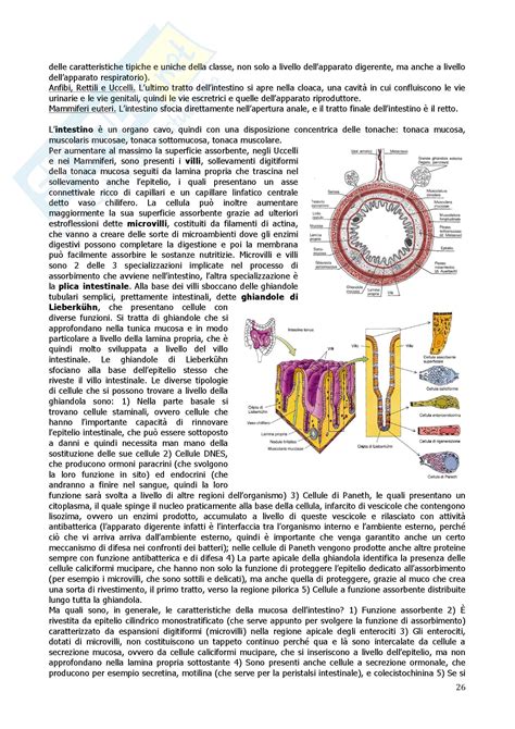 Anatomia Comparata Con Aggiornamento 4