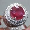 Cincin Batu Ruby Pigeon Blood Merah Delima Asli Kode 1164 Wahyu Mulia