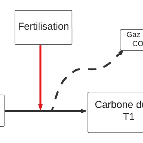 Sch Ma Repr Sentant Les Impacts De La Fertilisation Sur Le Bilan