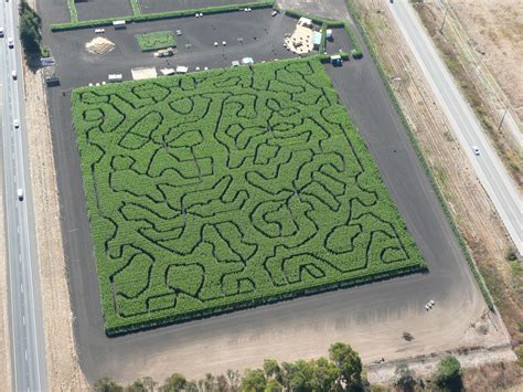 The jackson farms pumpkin patch has a hidden maze 21