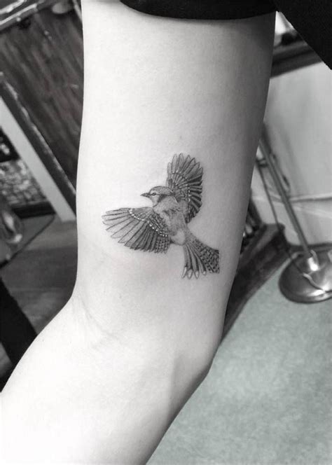 Fine Line Blue Jay Tattoo On The Right Inner Arm