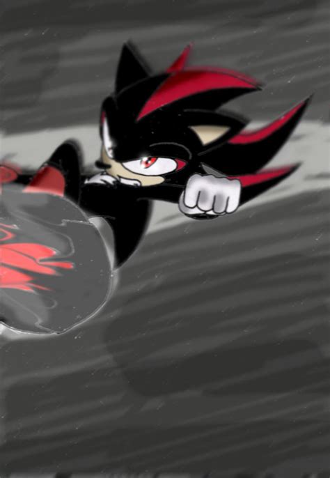 Sonic Riders: Shadow by 0Carkki0 on DeviantArt