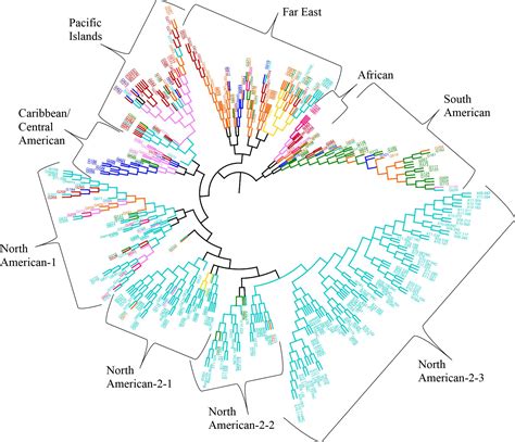 Frontiers Genetic Diversity And Population Structure Of The Usda