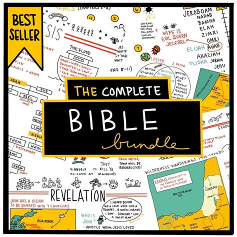 bible study amysentercom biblical literacy