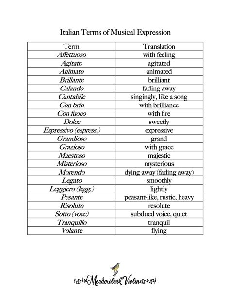 Easy Guide to Italian Words in Classical Violin Music — Meadowlark ...