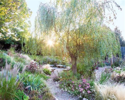 How To Plan A Dry Garden Ideas For Plants And Landscaping Homes