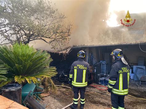 Paura A Roma Scoppia Incendio In Un Deposito Di Legname Il Rogo Si