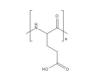 Poly L Glutamic Acid Cas Scbt Santa Cruz Biotechnology