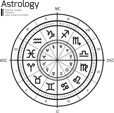 Astrologi Hjul Stjernetegn Stock Vektor Colourbox