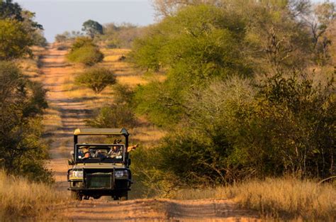 Kruger Vacation Packages - Classic Safari Packages - South African Safari