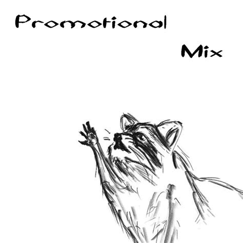 Raccoon Raccoon Promo Mix — Weasyl