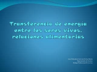 Ppt Transferencia De Energ A Entre Los Seres Vivos Relaciones