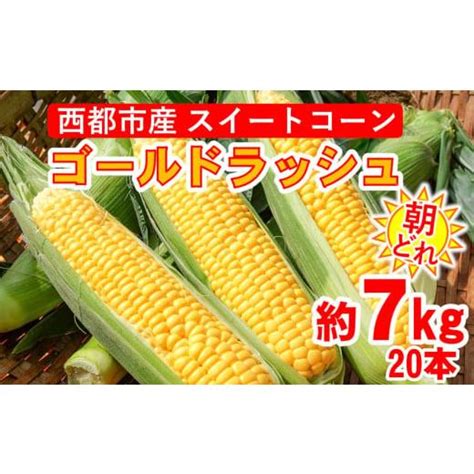 ふるさと納税 朝どれ スイートコーン ゴールドラッシュ 約7kg 20本 西都市産とうもろこし とうもろこしランキング1位 【先行予約】＜1