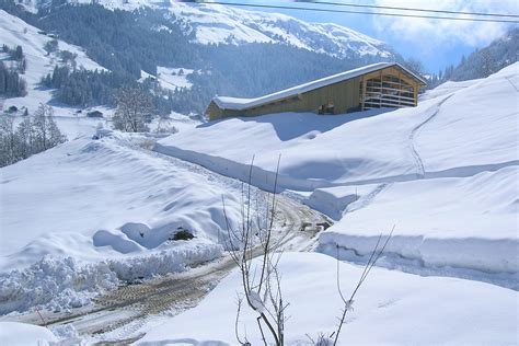 Gaec Le Cuvy Savoie Mont Blanc Savoie Et Haute Savoie Alpes