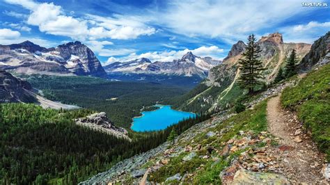 Kanada Kolumbia Brytyjska Park Narodowy Yoho Jezioro O Hara G Ry