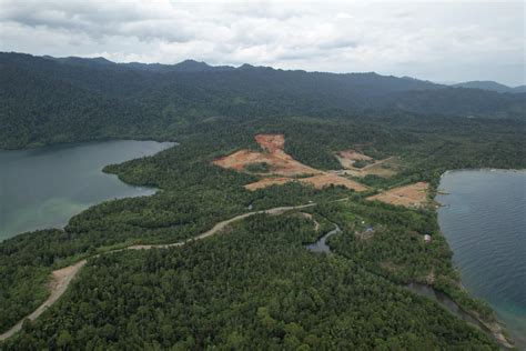 Indonesia: Suspend Nickel Mining in North Maluku - Climate Rights ...