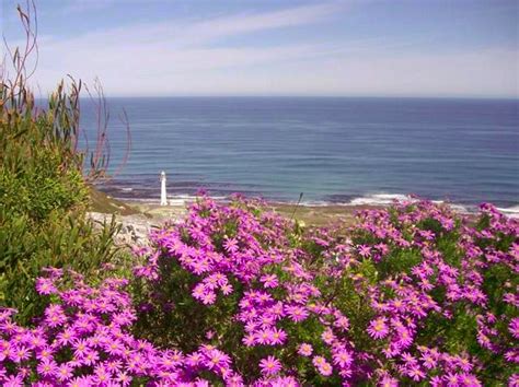 Kommetjie, Cape Town | South African History Online