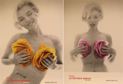 Bert Stern Marylin Naked Two Original Exhibition Posters 2012