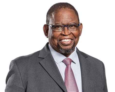 Finance Minister Enoch Godongwana downplays SA's crime scourge | Business