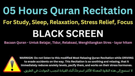 05 Hours Soothing Quran Recitation Quran Recitation For Study Sleep