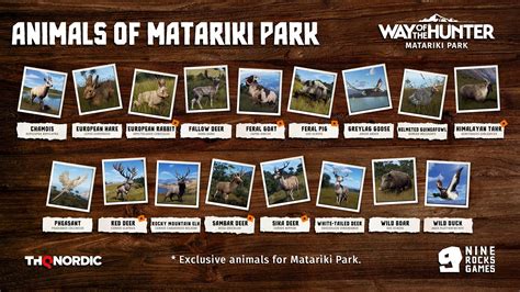 Meet The Fauna Of Matariki Park Dlc For Way Of The Hunter Nine Rocks