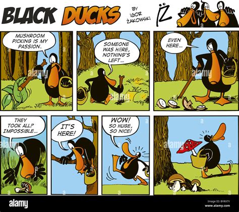 Duck Comic Strip