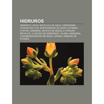 Libro Hidruros Amon Aco Agua Mol Cula De Agua Carborano Hidruro De