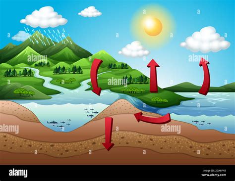 Ciclo h2o Imágenes vectoriales de stock Alamy