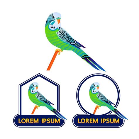 Budgerigar logo on white background vector illustration. 18912859 ...