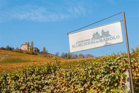 10 of the Best Wineries to Visit in Piedmont, Italy