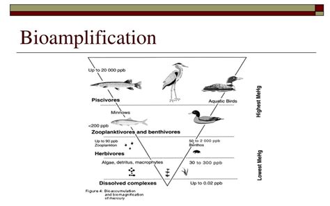 PPT UNIT 1 SUSTAINING ECOSYSTEMS PowerPoint Presentation Free