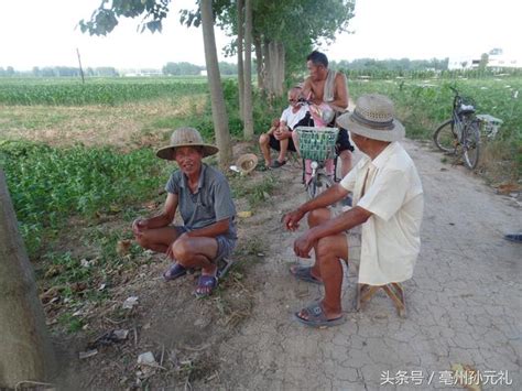 亳州農村老人夏季在田間地頭乘涼拉話 每日頭條