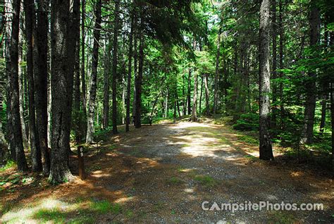 Cobscook Bay State Park - Campsite Photos, Reservations & Info