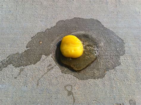 Hot Enough To Fry An Egg On The Sidewalk This Weekend Live Science