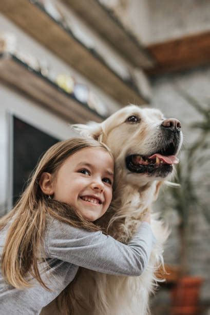 81 300点を超える犬 少女のストックフォト、写真、そしてロイヤリティフリーの画像 Istock