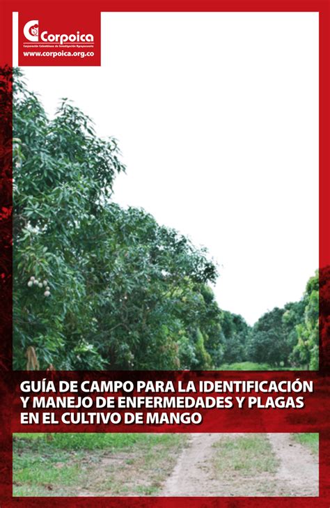 Pdf Gu A De Campo Para La Identificaci N Y Manejo De Enfermedades Y