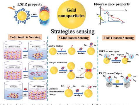 Pdf Gold Nanoparticle Based Optical Nanosensors For Food And Health