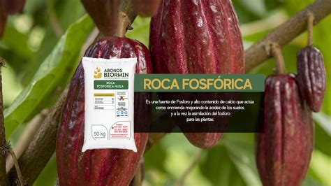 QUE ES LA ROCA FOSFORICA Abonos Biormin