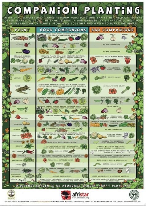 Printable Companion Planting Chart Pdf