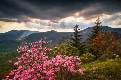 North Carolina Spring Flowers Scenic Landscape | Appalachian Mountains ...