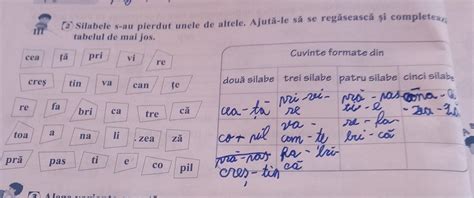 Ex Silabele S Au Pierdut Unele De Altele Ajuta Le Sa Se Regaseasca