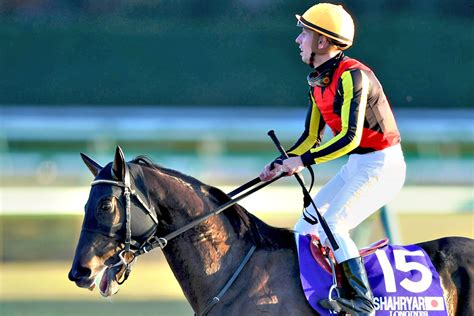 シャフリヤールに米gⅠブリーダーズカップ・ターフ参戦プラン 札幌記念をステップに 競馬ニュース・特集なら東スポ競馬