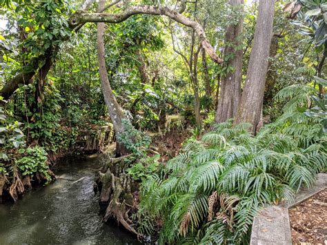 Mead Botanical Garden | Wandering Florida