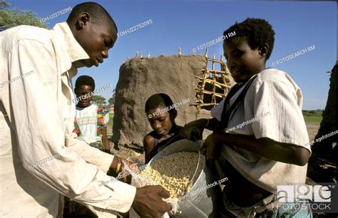 day, people, zambia, person, border, food, Stock Photo, Picture And ...