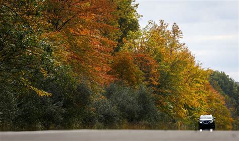 New Jersey Fall Foliage